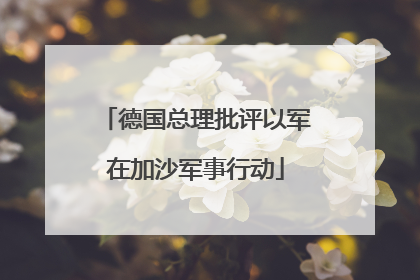 德国总理批评以军在加沙军事行动