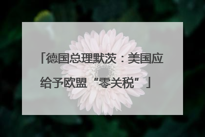 德国总理默茨：美国应给予欧盟“零关税”