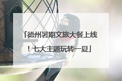 德州暑期文旅大餐上线！七大主题玩转一夏