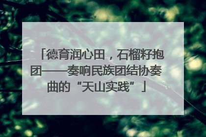 德育润心田，石榴籽抱团——奏响民族团结协奏曲的“天山实践”