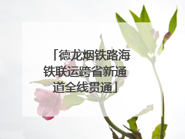 德龙烟铁路海铁联运跨省新通道全线贯通