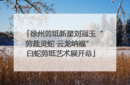徐州剪纸新星刘冠玉“剪裁灵蛇 云龙纳福” 白蛇剪纸艺术展开幕