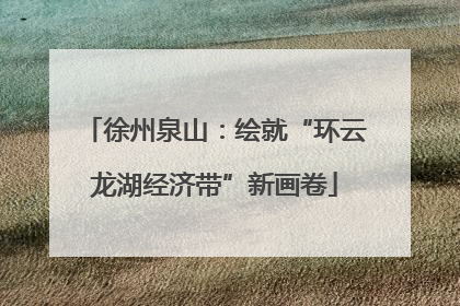 徐州泉山：绘就“环云龙湖经济带”新画卷