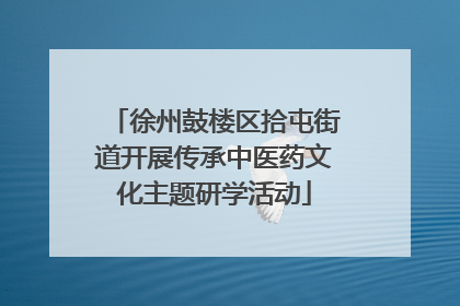 徐州鼓楼区拾屯街道开展传承中医药文化主题研学活动