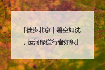 徒步北京｜碧空如洗，运河绿道行者如织