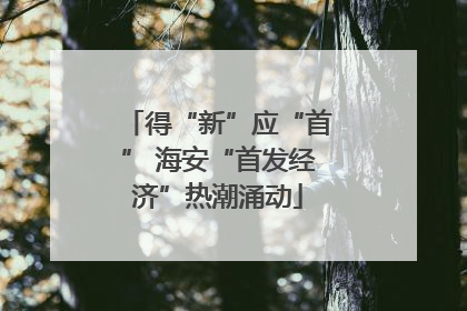 得“新”应“首” 海安“首发经济”热潮涌动