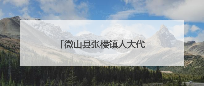 微山县张楼镇人大代表助力“三夏”生产