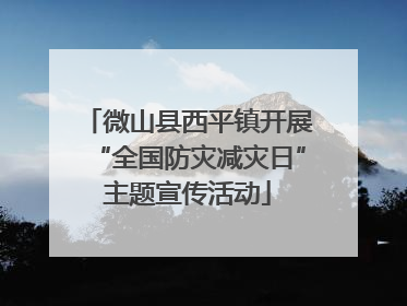 微山县西平镇开展“全国防灾减灾日”主题宣传活动