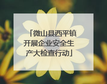 微山县西平镇开展企业安全生产大检查行动