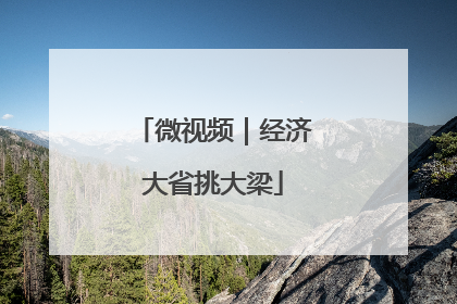 微视频｜经济大省挑大梁