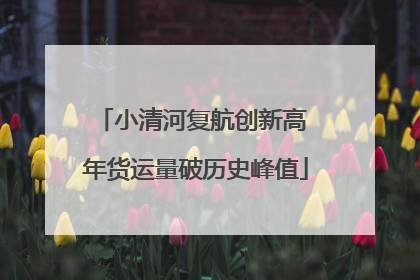 小清河复航创新高 年货运量破历史峰值