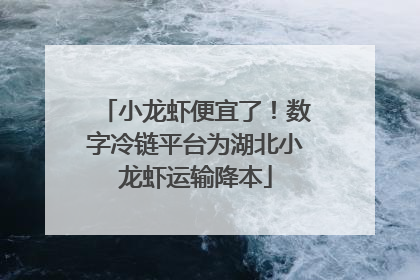小龙虾便宜了！数字冷链平台为湖北小龙虾运输降本