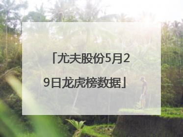 尤夫股份5月29日龙虎榜数据
