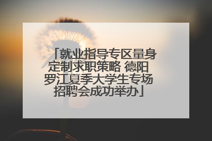 就业指导专区量身定制求职策略 德阳罗江夏季大学生专场招聘会成功举办