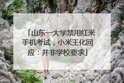 山东一大学禁用红米手机考试，小米王化回应：并非学校要求