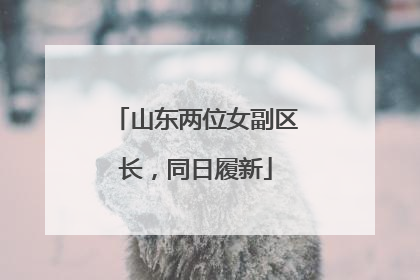 山东两位女副区长，同日履新