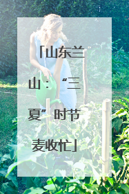 山东兰山：“三夏”时节麦收忙