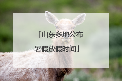 山东多地公布暑假放假时间
