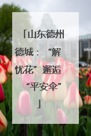 山东德州德城：“解忧花”邂逅“平安伞”
