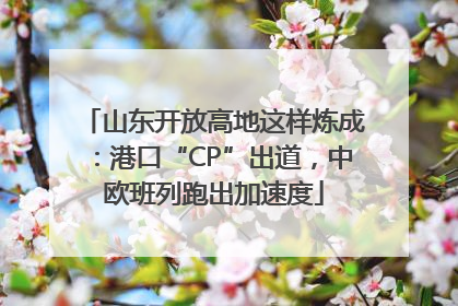 山东开放高地这样炼成：港口“CP”出道，中欧班列跑出加速度