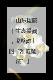 山东援藏｜生态援藏，戈壁滩上的“潍坊魔法”