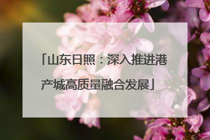 山东日照：深入推进港产城高质量融合发展
