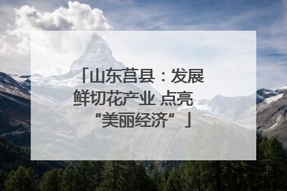 山东莒县：发展鲜切花产业 点亮“美丽经济”