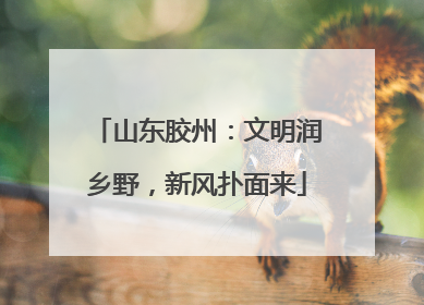 山东胶州：文明润乡野，新风扑面来