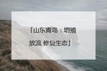 山东青岛：增殖放流 修复生态