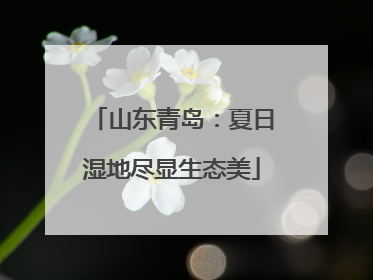 山东青岛：夏日湿地尽显生态美