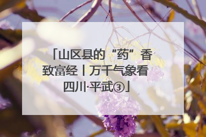 山区县的“药”香致富经丨万千气象看四川·平武③