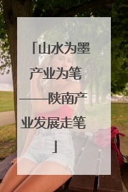 山水为墨 产业为笔——陕南产业发展走笔