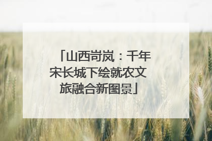 山西岢岚：千年宋长城下绘就农文旅融合新图景