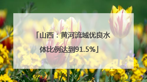 山西：黄河流域优良水体比例达到91.5%