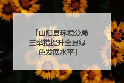 山阳县环境分局三举措提升全县绿色发展水平