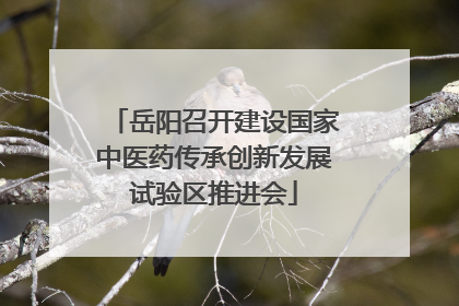 岳阳召开建设国家中医药传承创新发展试验区推进会