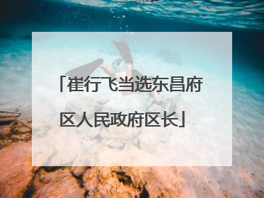 崔行飞当选东昌府区人民政府区长