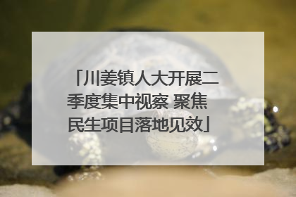 川姜镇人大开展二季度集中视察 聚焦民生项目落地见效
