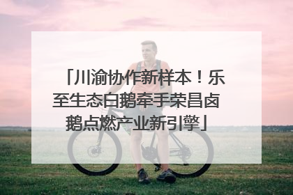 川渝协作新样本！乐至生态白鹅牵手荣昌卤鹅点燃产业新引擎
