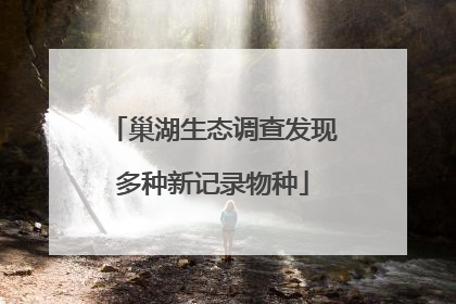巢湖生态调查发现多种新记录物种