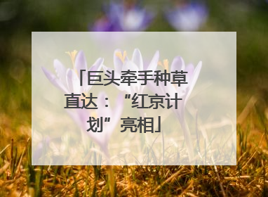 巨头牵手种草直达：“红京计划”亮相