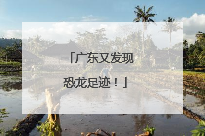 广东又发现恐龙足迹！