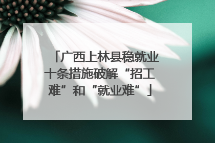 广西上林县稳就业十条措施破解“招工难”和“就业难”