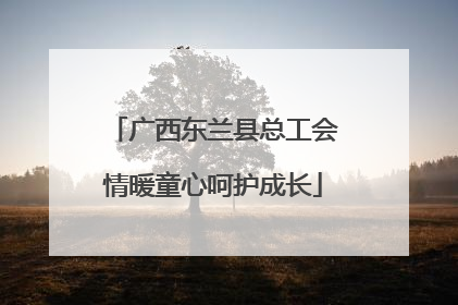 广西东兰县总工会情暖童心呵护成长