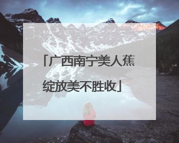 广西南宁美人蕉绽放美不胜收
