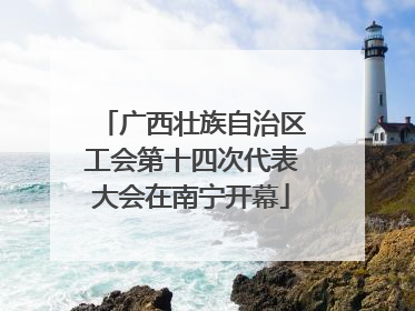 广西壮族自治区工会第十四次代表大会在南宁开幕