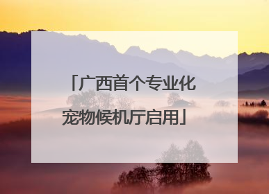 广西首个专业化宠物候机厅启用
