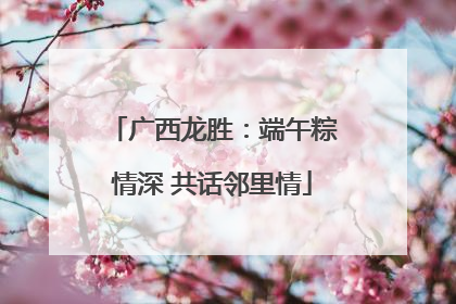 广西龙胜：端午粽情深 共话邻里情