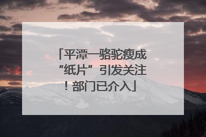 平潭一骆驼瘦成“纸片”引发关注！部门已介入