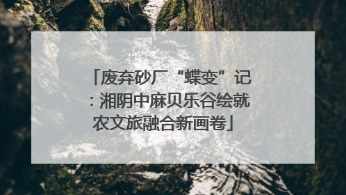 废弃砂厂“蝶变”记：湘阴中麻贝乐谷绘就农文旅融合新画卷